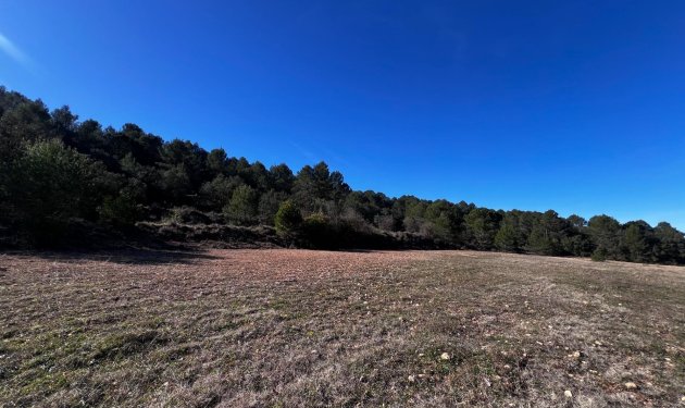 Resale - Finca rústica - Bocairent - Sierra de Mariola