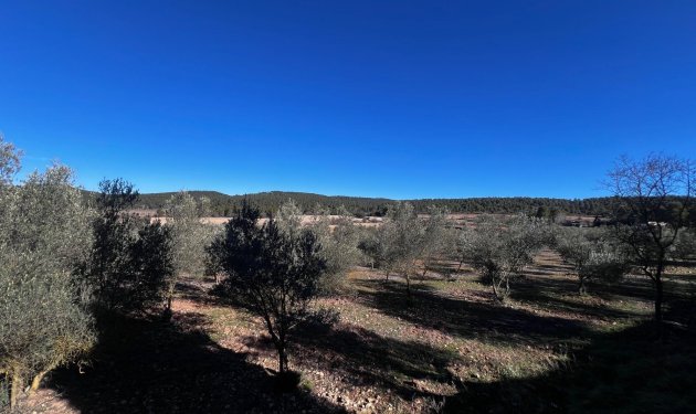 Resale - Finca rústica - Bocairent - Sierra de Mariola
