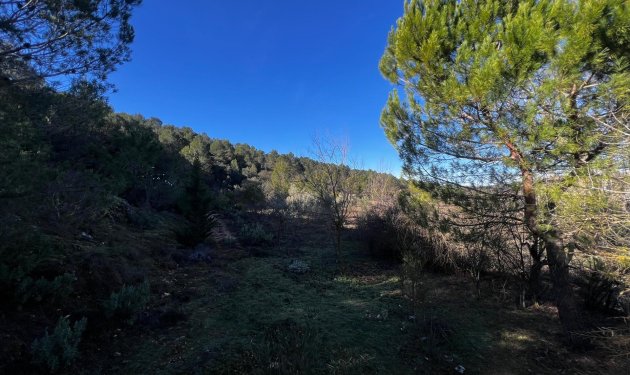 Resale - Finca rústica - Bocairent - Sierra de Mariola