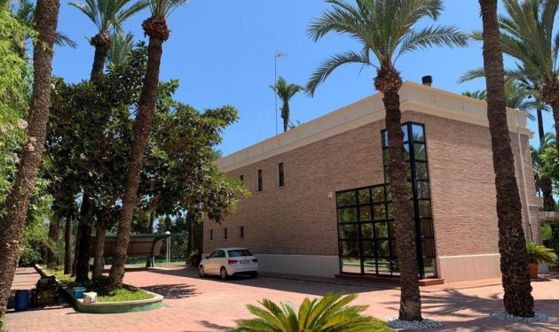 Resale - Chalet - Elche Pedanías - Alzabares