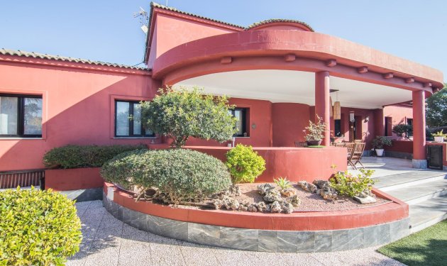 Resale - Villa de Lujo - Elche Pedanías - xLas bayas