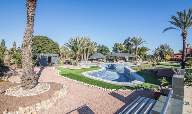 Resale - Villa de Lujo - Elche Pedanías - xLas bayas