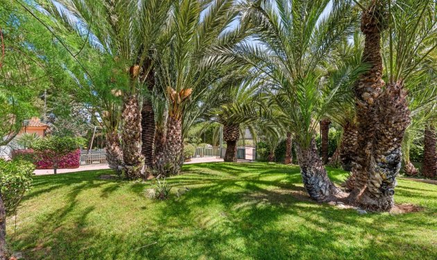 Resale - Chalet - Elche Pedanías - Alzabares