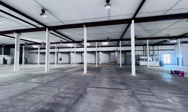Long Term Rental - Nave industrial - Elche Pedanías - Matola