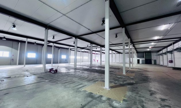 Long Term Rental - Nave industrial - Elche Pedanías - Matola