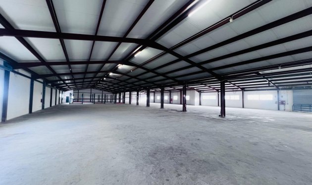 Long Term Rental - Nave industrial - Elche Pedanías - Matola