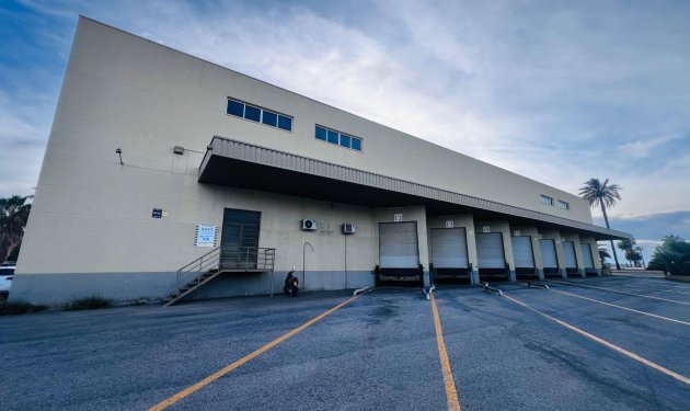 Long Term Rental - Nave industrial - Elche Pedanías - Matola