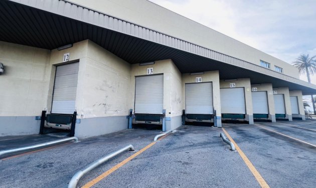 Long Term Rental - Nave industrial - Elche Pedanías - Matola