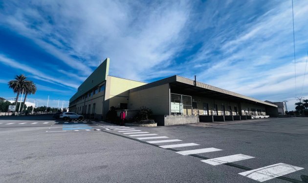 Long Term Rental - Nave industrial - Elche Pedanías - Matola