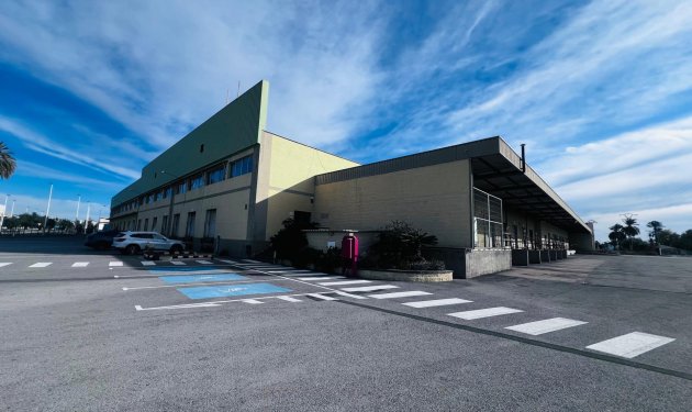 Long Term Rental - Nave industrial - Elche Pedanías - Matola