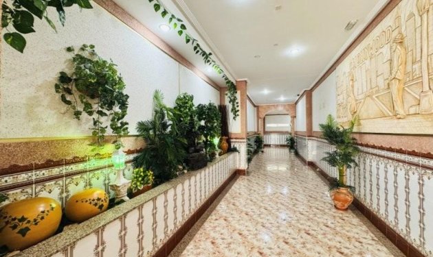 Resale - Penthouse - Torrevieja - La Mata pueblo