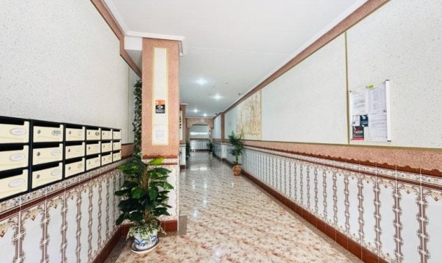 Resale - Penthouse - Torrevieja - La Mata pueblo