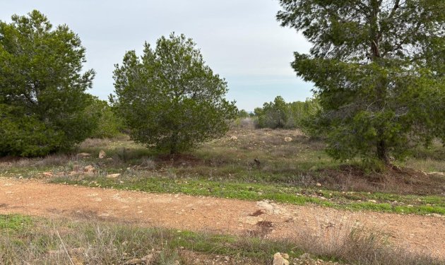 Resale - Bungalow - Torrevieja - La Siesta - El Salado - Torreta