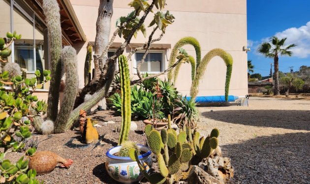 Herverkoop - Chalet - Jacarilla