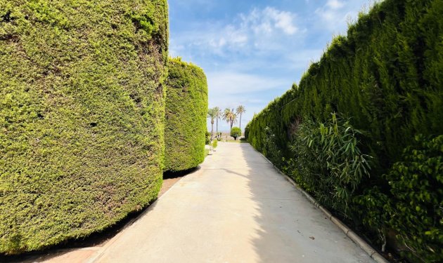 Resale - Chalet - Elche Pedanías - Maitino-Perleta