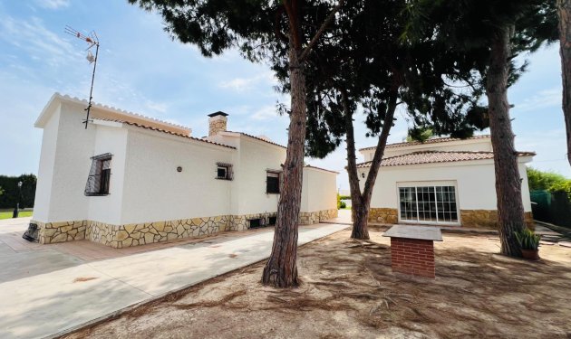 Resale - Chalet - Elche Pedanías - Maitino-Perleta