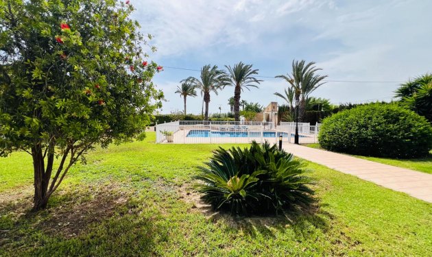 Resale - Chalet - Elche Pedanías - Maitino-Perleta