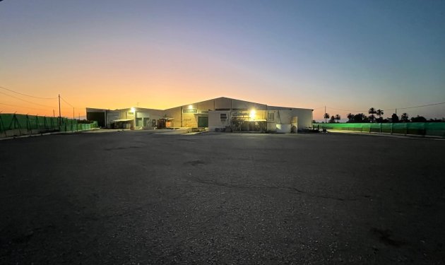 Resale - Nave industrial - Elche