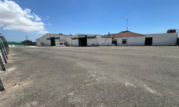Resale - Nave industrial - Elche