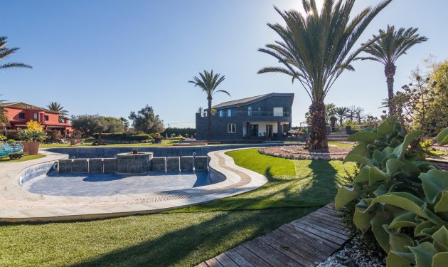 Resale - Villa - Elche Pedanías - xLas bayas