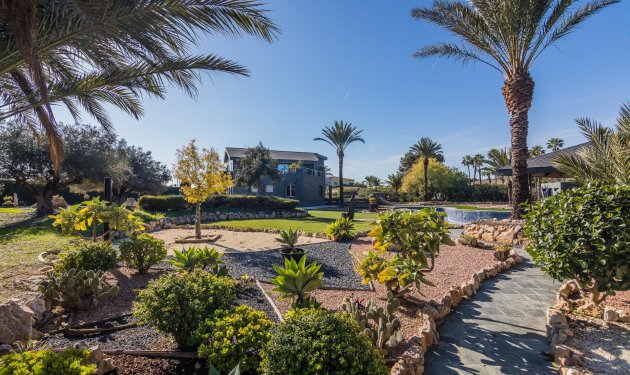 Resale - Villa - Elche Pedanías - xLas bayas