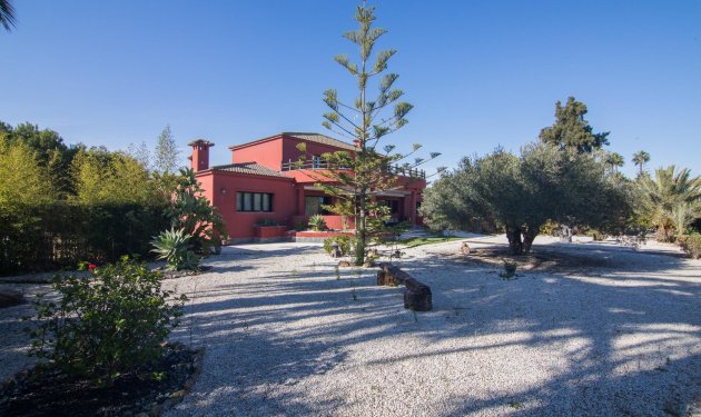 Resale - Villa - Elche Pedanías - xLas bayas