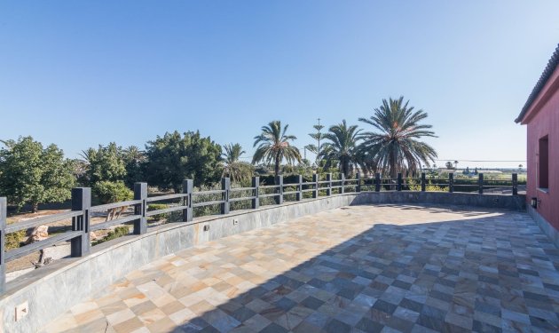 Resale - Villa - Elche Pedanías - xLas bayas