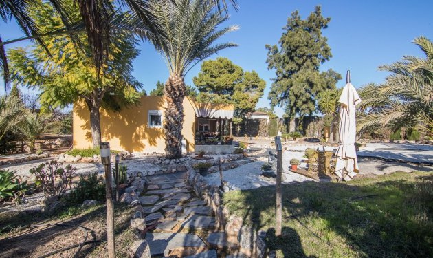 Resale - Villa - Elche Pedanías - xLas bayas