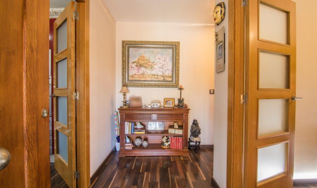 Resale - Villa - Elche Pedanías - xLas bayas