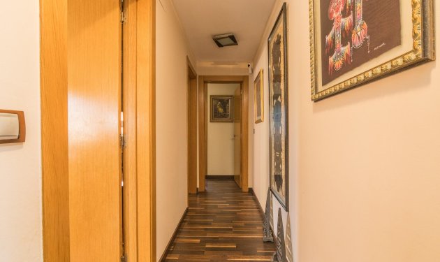 Resale - Villa - Elche Pedanías - xLas bayas