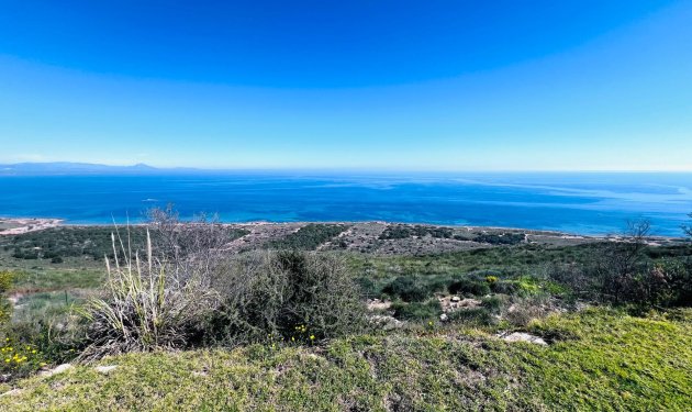 Resale - Townhouse - Gran alacant - Gran Vista-Olivo de Oro