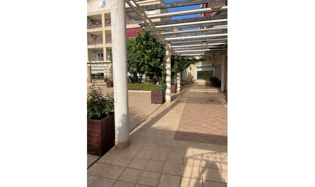 Resale - Apartamento - Orihuela Costa - Campoamor
