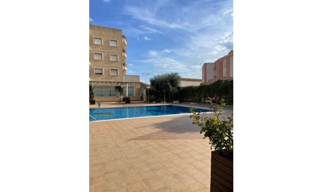 Resale - Apartamento - Orihuela Costa - Campoamor