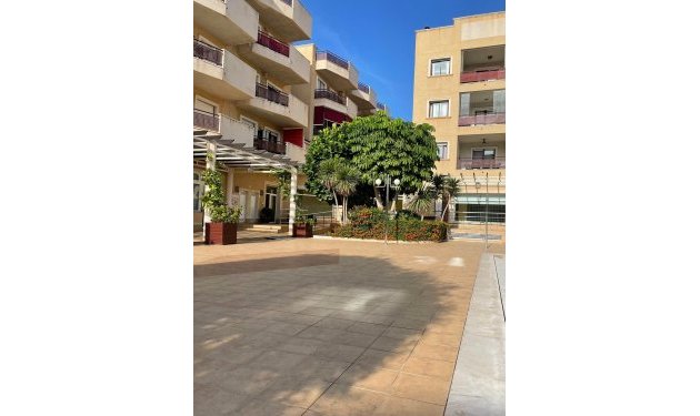 Resale - Apartamento - Orihuela Costa - Campoamor