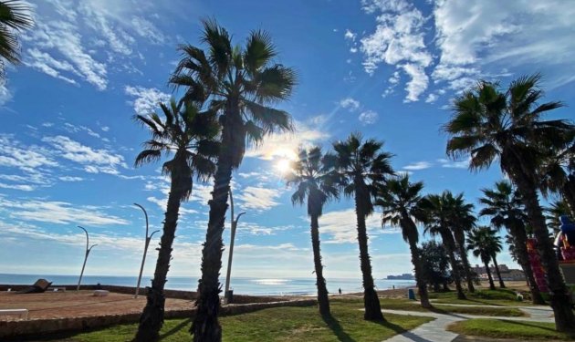 Resale - Piso - Torrevieja - Playa de la mata