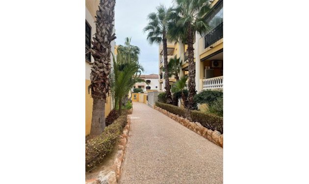 Resale - Penthouse - Torrevieja - Playa de los Locos