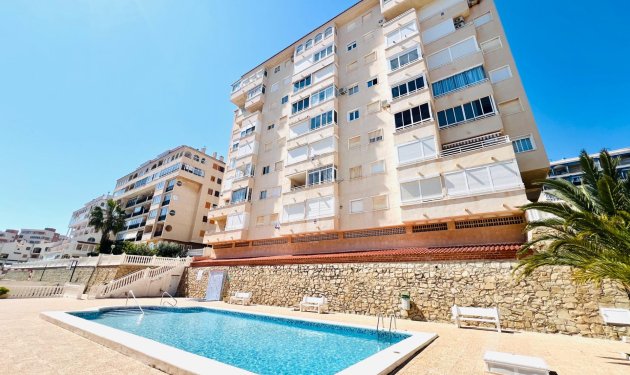 Herverkoop - Apartamento - Arenales del Sol