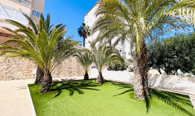 Herverkoop - Apartamento - Arenales del Sol