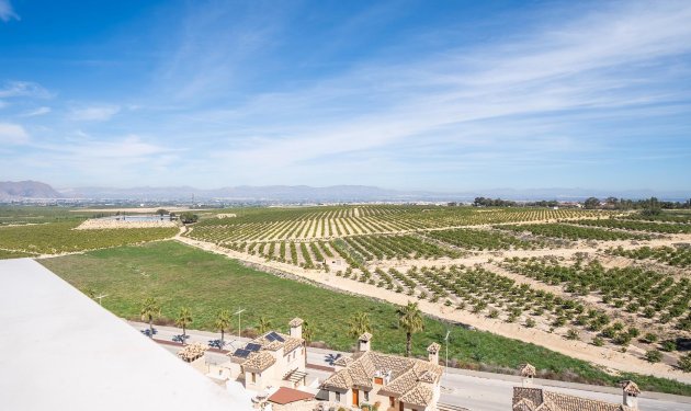 Resale - Villa - Algorfa - Comunidad valenciana