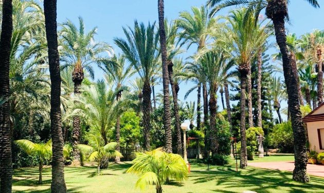 Resale - Chalet - Elche Pedanías - Alzabares
