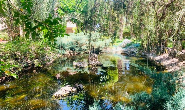 Resale - Chalet - Elche Pedanías - Alzabares