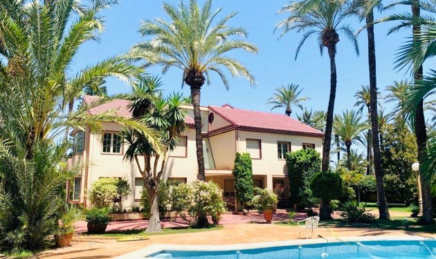 Resale - Chalet - Elche Pedanías - Alzabares