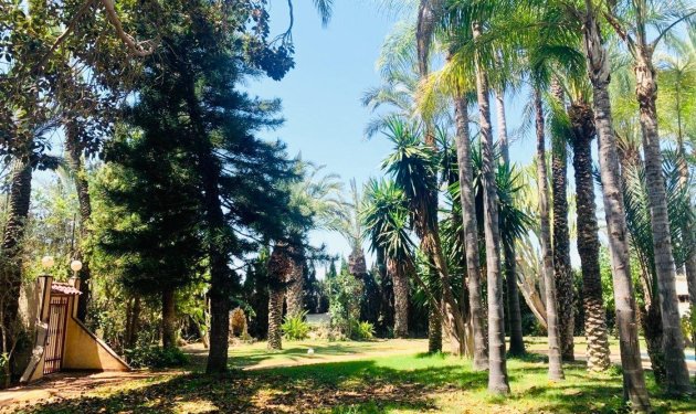 Resale - Chalet - Elche Pedanías - Alzabares
