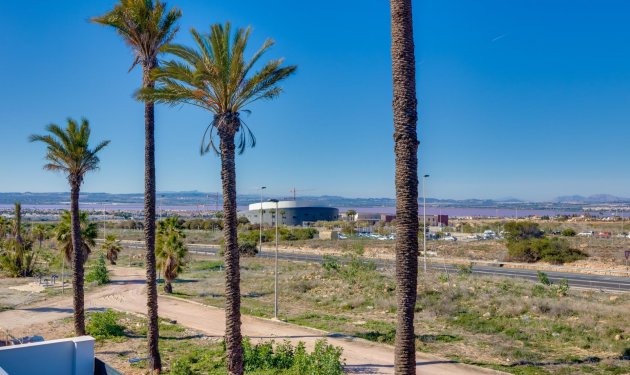 New Build - Villa - Torrevieja - Aguas Nuevas