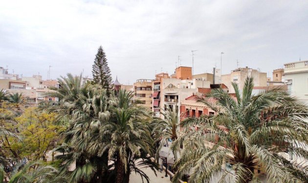 Resale - Piso - Elche - Centro
