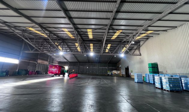 Long Term Rental - Nave industrial - Alicante - Poligono de atalayas