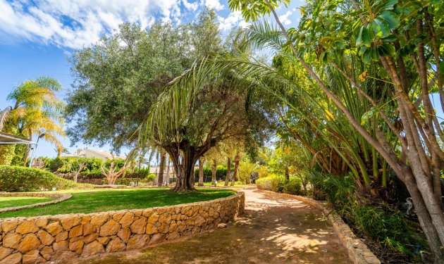 Resale - Chalet - Elche Pedanías - Carretera santa pola