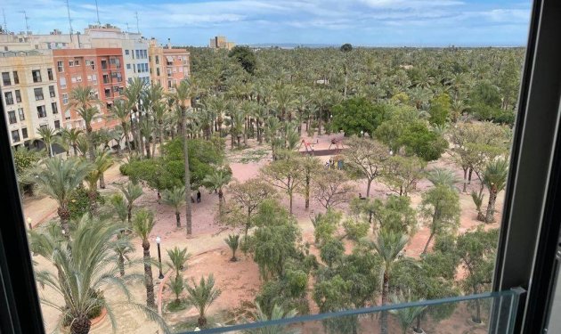 Resale - Piso - Elche - Centro
