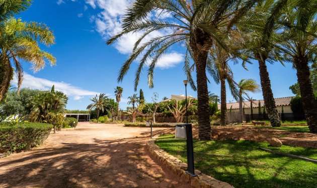 Resale - Chalet - Elche Pedanías - Carretera santa pola