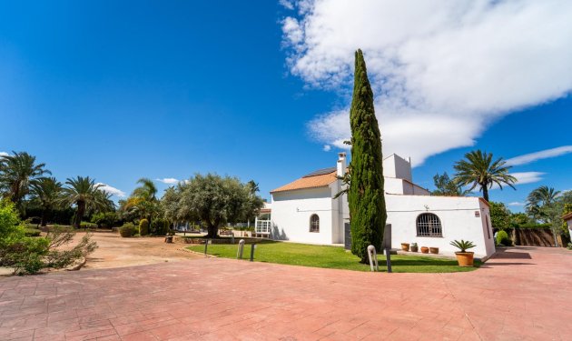 Resale - Chalet - Elche Pedanías - Carretera santa pola